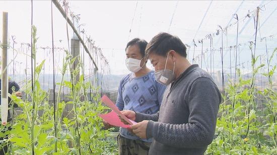 堇色安年，谁许我一世荒芜 第2页