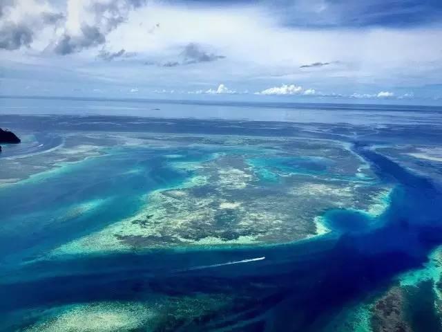 帕劳水母湖最新动态，探索与发现的旅程