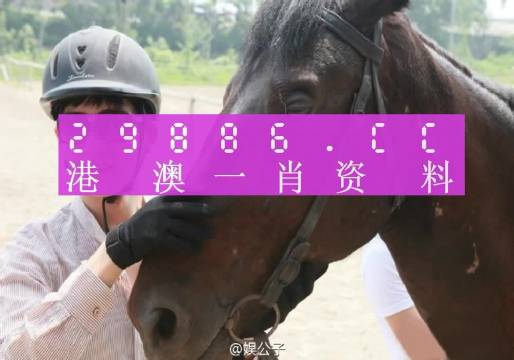 澳门必中一一肖一码服务内容｜实证解答解释落实