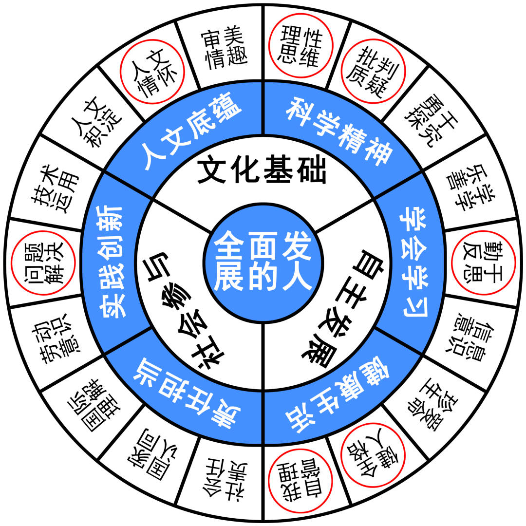 49资料网必中生肖｜构建解答解释落实