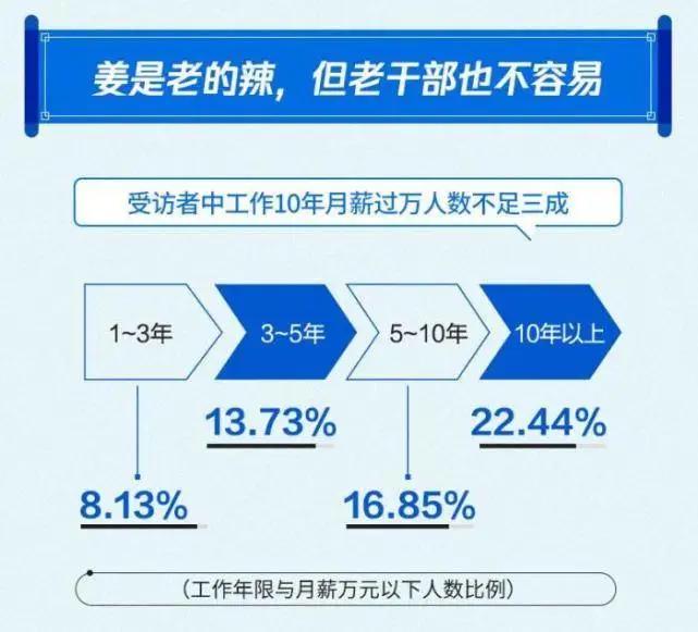 新澳2024正版资料免费公开,最新数据解释定义_试用版73.255