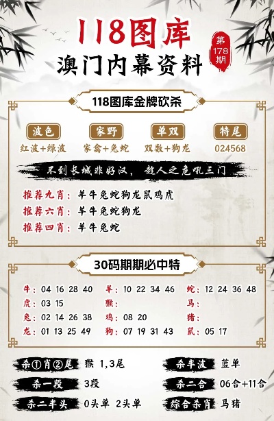 澳门三码三码精准100,专家意见解释定义_安卓版51.437