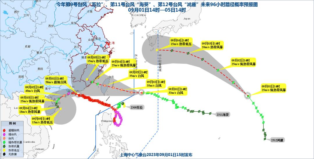 最近台风最新消息图，台风动态及影响分析