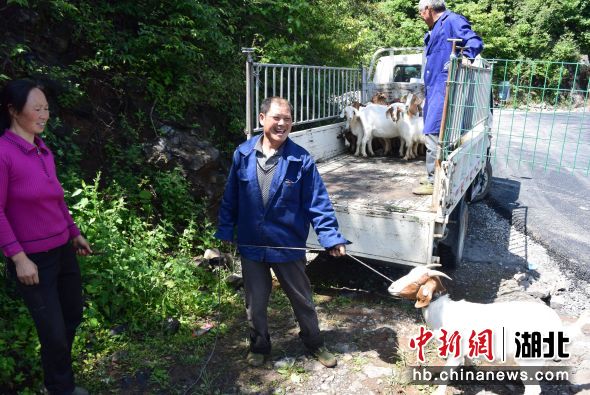 靠山种畜场交通状况持续改善，助力地方发展新闻速递