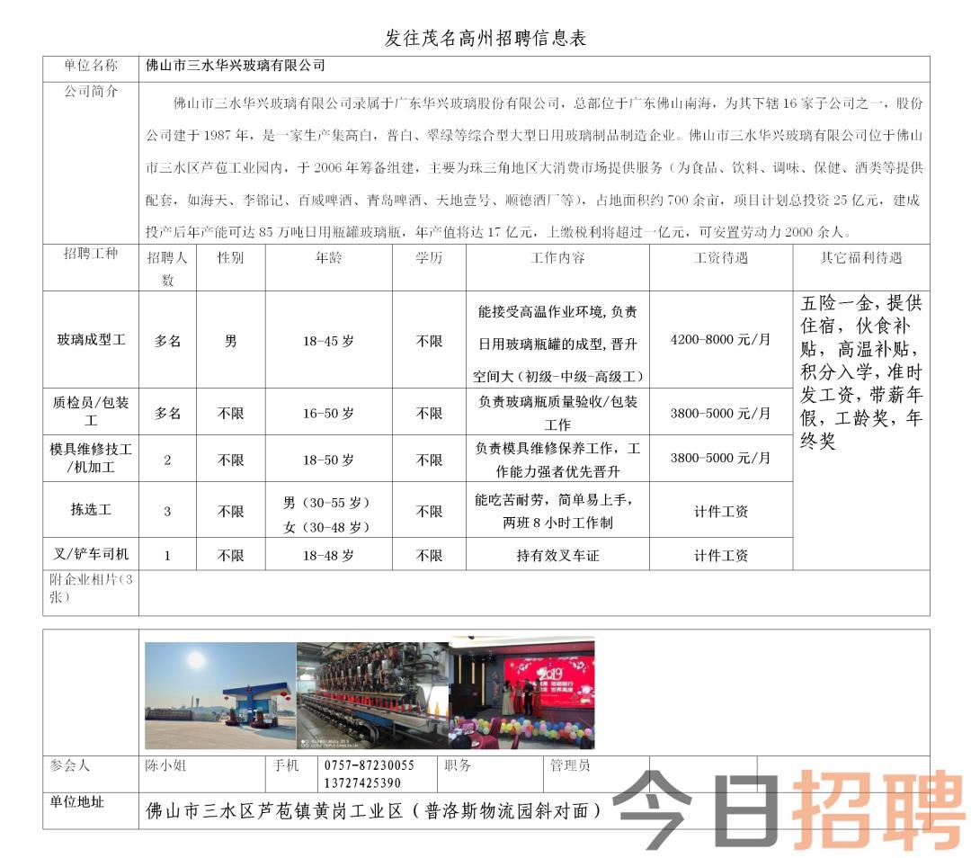 遂溪上白天班最新招聘动态及就业信息解析