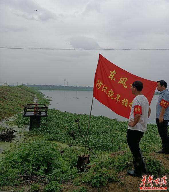 新河村最新天气预报概览