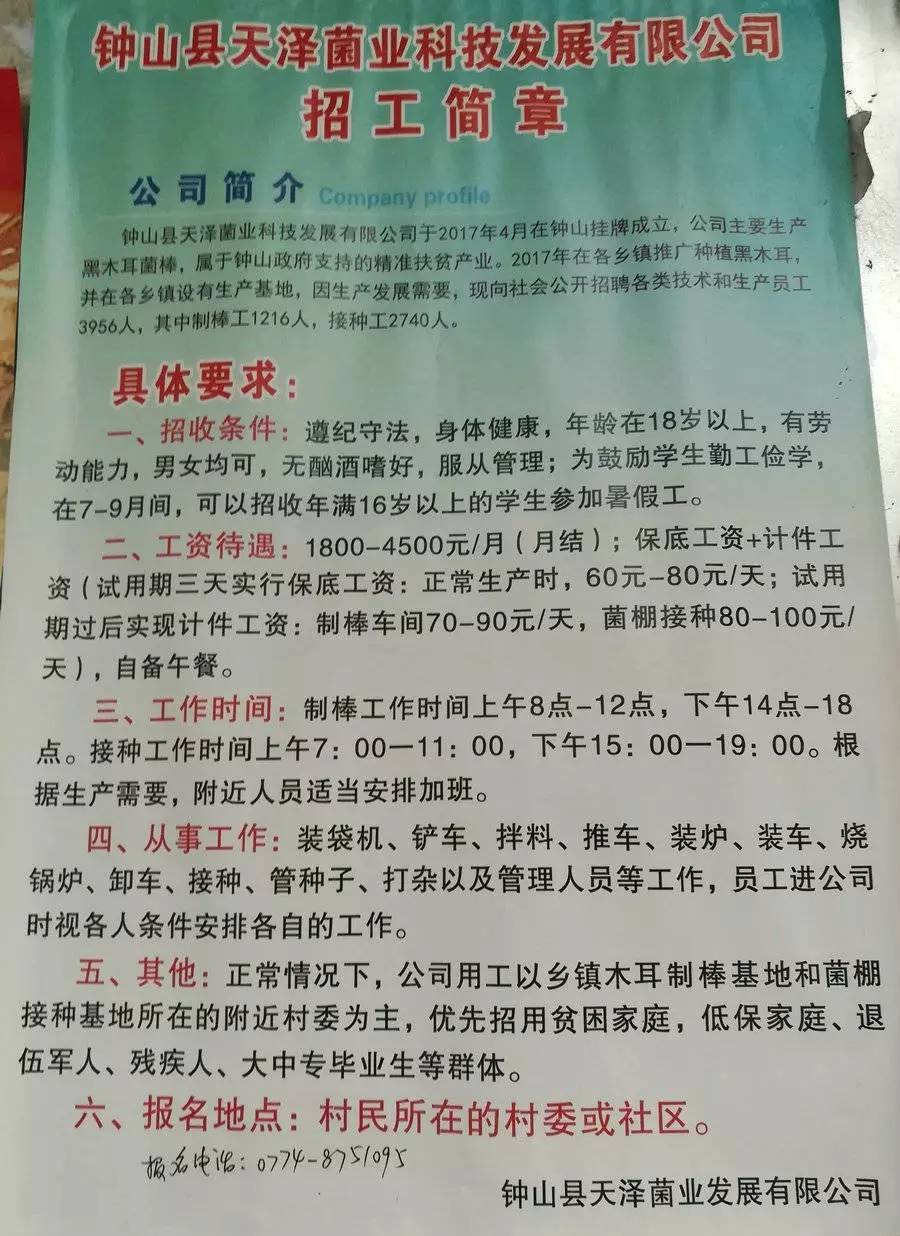 沂南普工最新招聘信息概览